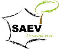 logo-1